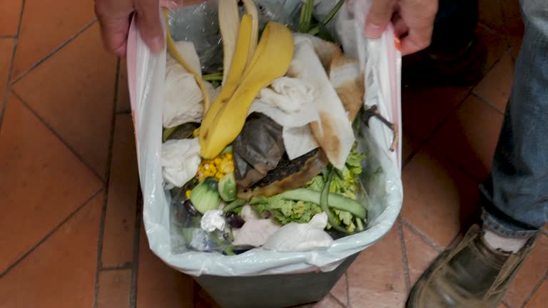 Reliable Yorktown Heights, NY Junk Removal Services Solutions